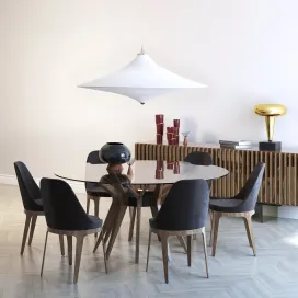 Roche bobois aster